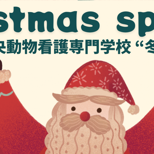 中央動物看護専門学校 [１２月６日]冬Specialクリスマスオープンキャンパス！1