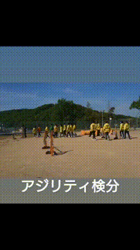 OCカメラサムネイル画像