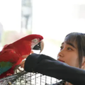 専門学校ビジョナリーアーツ 【鳥講座】 ビレッジの鳥たちの飼育体験