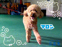 OCカメラサムネイル画像