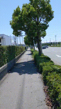 OCカメラサムネイル画像