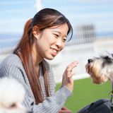 【ドッグトレーナー】ドッグスポーツ「アジリティ」に挑戦！の詳細