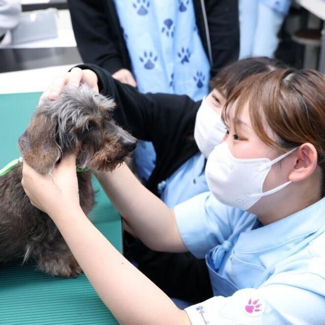 ヤマザキ動物専門学校 X'masオープンキャンパス3