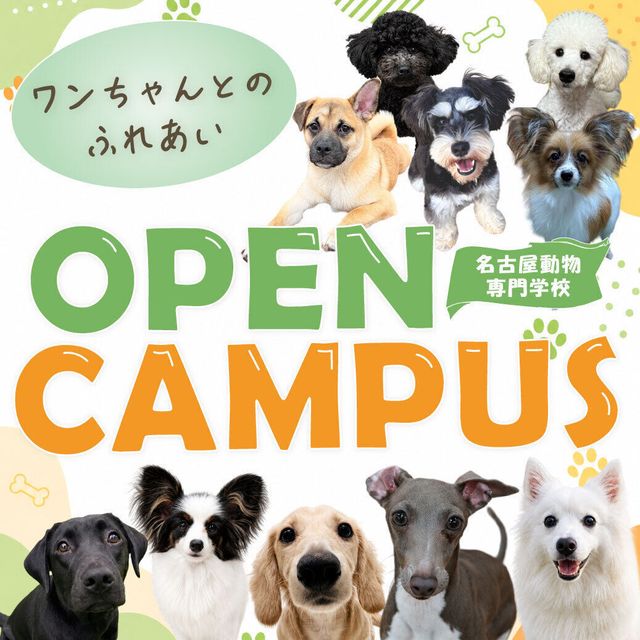 名古屋動物専門学校 ★オープンキャンパス★1