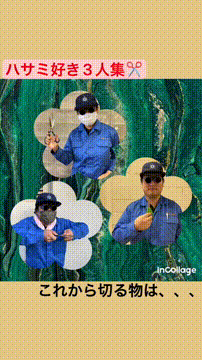 OCカメラサムネイル画像