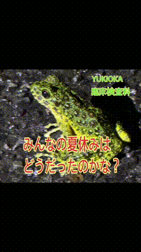 OCカメラサムネイル画像