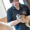 専門学校　福岡ビジョナリーアーツ 【ペット】お仕事体験DAY!動物園飼育員 体験