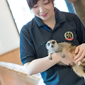 専門学校　福岡ビジョナリーアーツ 【ペット】お仕事体験DAY!動物園飼育員 体験