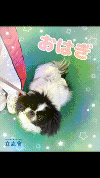 OCカメラサムネイル画像