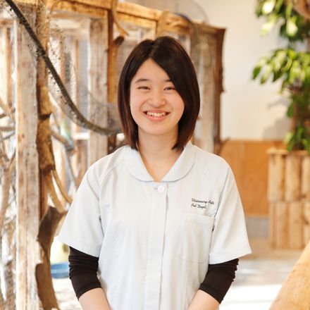 在校生レポート画像