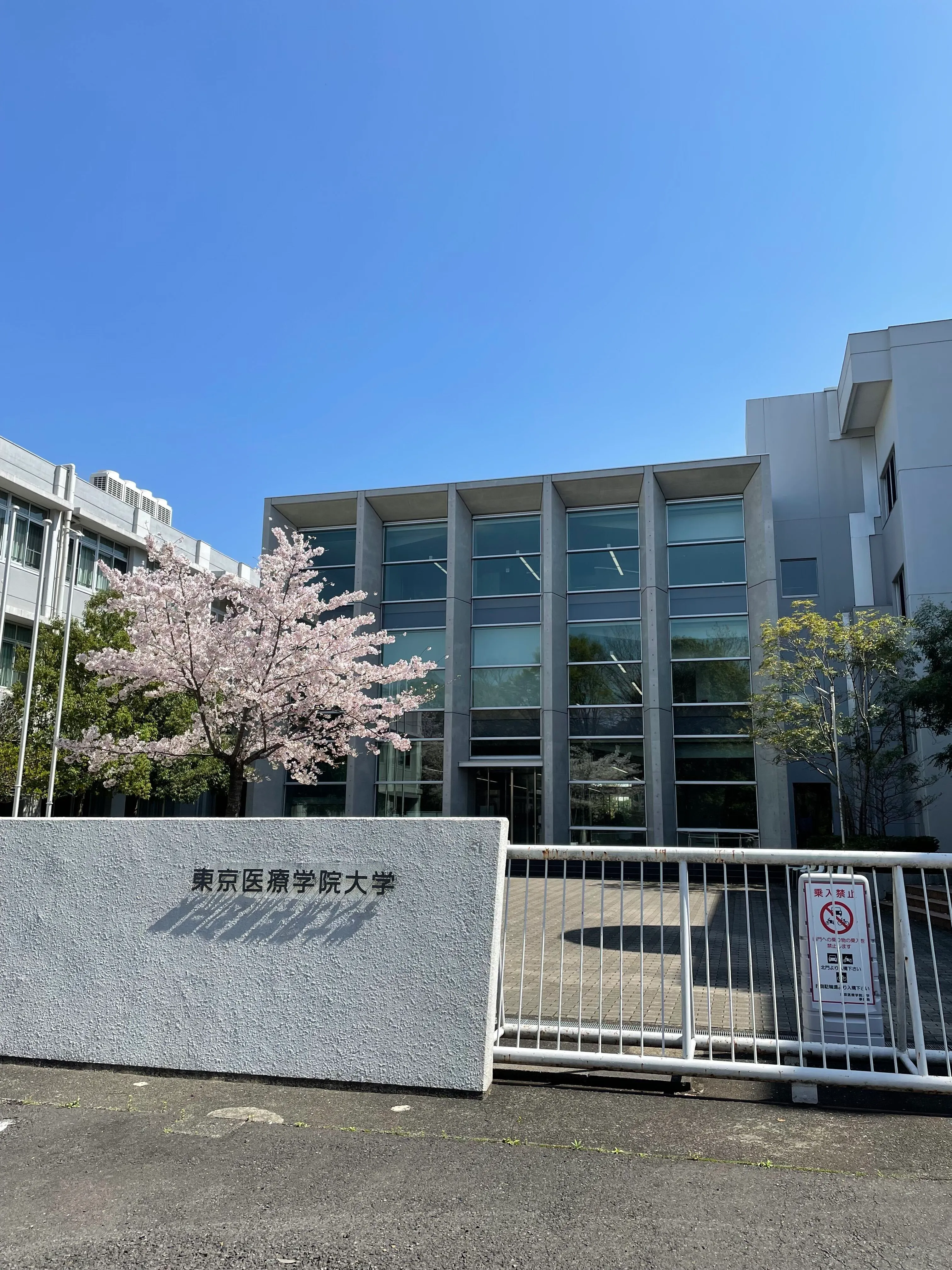 東京 医療 学院 大学