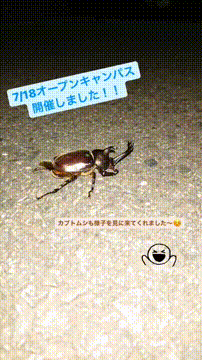 OCカメラサムネイル画像