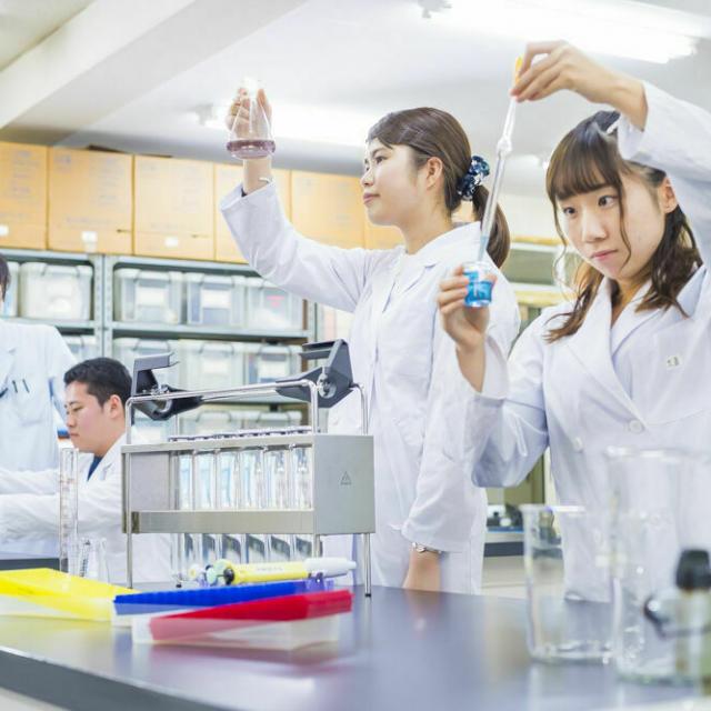 【オンライン】大学説明会/東京聖栄大学のオープンキャンパス情報と予約申込【スタディサプリ 進路】 【オンライン】大学説明会/東京聖栄大学のオープンキャンパス情報と予約申込【スタディサプリ 進路】