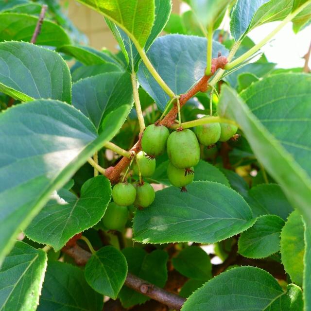 東京環境工科専門学校 ◆OGトーク：いろんな生き物食べてみた！を同時開催！2