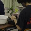 日本ガーデンデザイン専門学校 観葉植物の楽しみ方