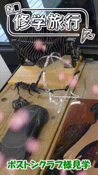 OCカメラサムネイル画像