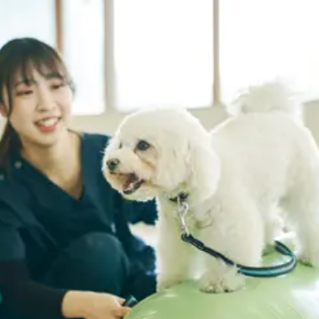 専門学校ビジョナリーアーツ ワンコと一緒に理学療法を知ろう！1