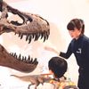 ＴＣＡ東京ＥＣＯ動物海洋専門学校 【特別メニュー】博物館のお仕事体験