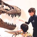 【特別メニュー】博物館のお仕事体験／ＴＣＡ東京ＥＣＯ動物海洋専門学校