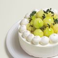 専門学校ビジョナリーアーツ メロンショートケーキ