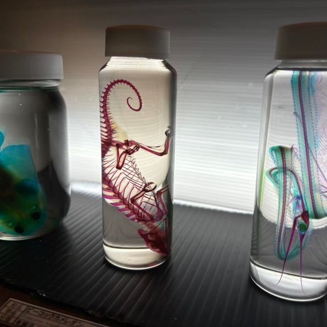 神戸動植物環境専門学校 AQUA TEXT　~7th Anniversary~1