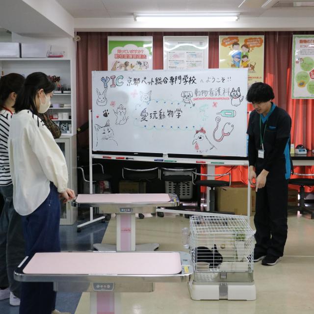 ＹＩＣ京都ペット総合専門学校 うさモル博士になろう！4