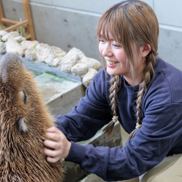 名古屋ＥＣＯ動物海洋専門学校 【動物園・動物飼育】動物園のお仕事について学ぼう！1