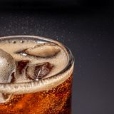 【バイオテクノロジー科】飲料の糖度を見てみよう！の詳細