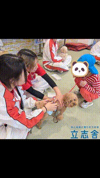 OCカメラサムネイル画像