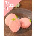 東京スイーツ＆カフェ専門学校 3/22(日)　春限定いちごのマカロン