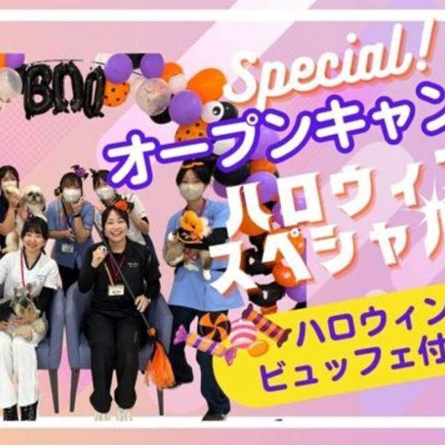 専門学校　ちば愛犬動物フラワー学園 【特別イベント】オープンキャンパス～ハロウィンスペシャル～1