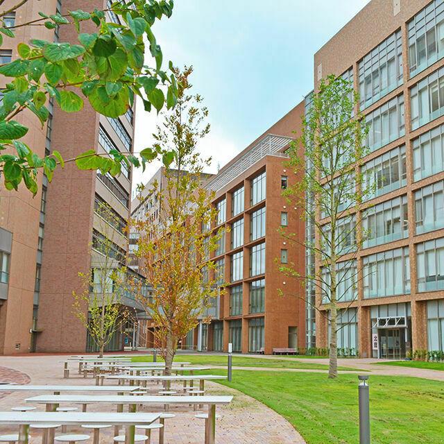 和洋女子大学 10月30日(土)「入試相談会」開催!1