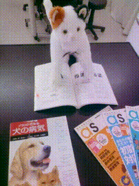 OCカメラサムネイル画像