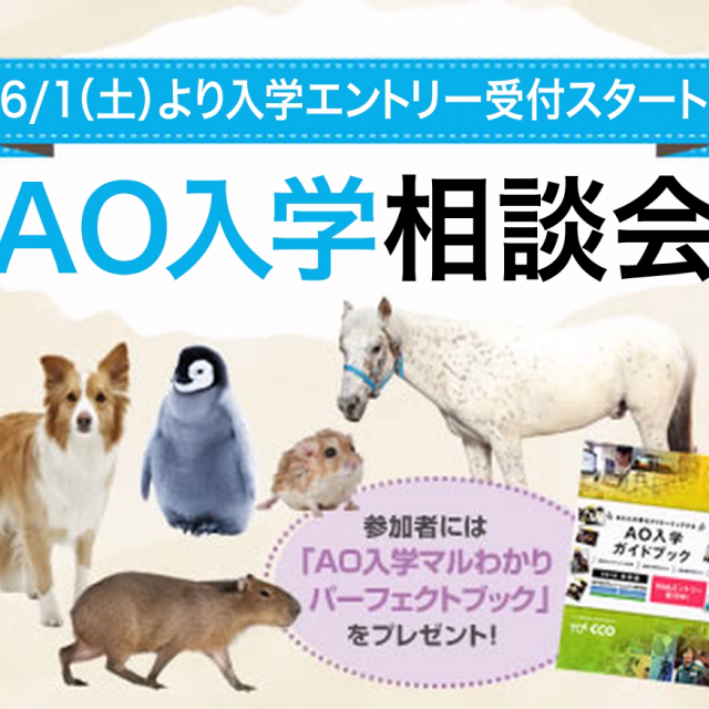 東京コミュニケーションアート専門学校 AO入学特別説明会1