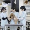 ＭＣＬ盛岡ペットワールド専門学校 【体験型】愛玩動物看護師科 オープンキャンパス