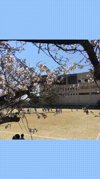 OCカメラサムネイル画像