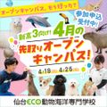 仙台ＥＣＯ動物海洋専門学校 【４月】動物たちとお仕事を体験しよう！