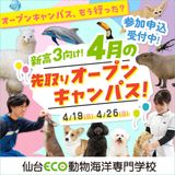 【４月】動物たちとお仕事を体験しよう！の詳細