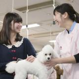 愛犬総合学科　犬に関するスペシャリストになれる学校の体験入学の詳細