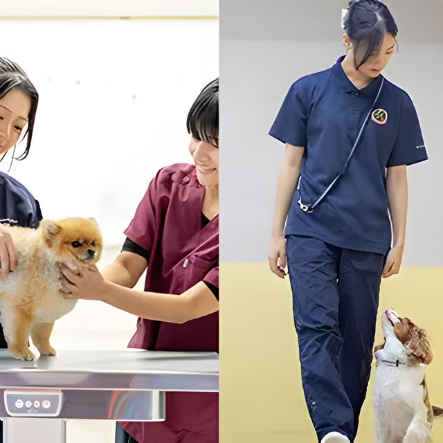 専門学校　福岡ビジョナリーアーツ 【ペット・看護】動物看護師×ドッグトレーナー1