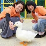詳細を見る
