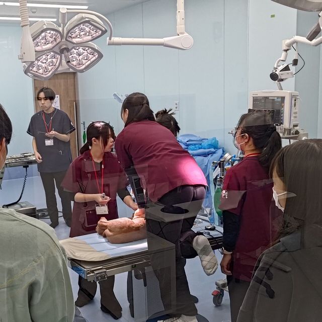 高崎動物専門学校 【動物看護】いざというとき命を救う、本気の救急救命体験2