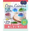 辻学園栄養専門学校 キラキラ輝くあじさいゼリー　交通費２倍DAY