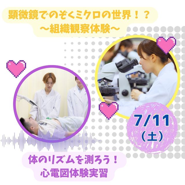 東京医学技術専門学校 【臨床検査技師/2時間】どんな職業かな？（保護者様大歓迎！）1