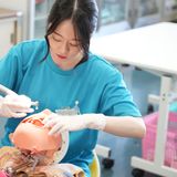 オープンキャンパス2026の詳細