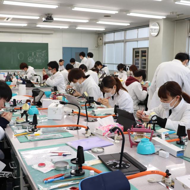 埼玉歯科技工士専門学校 【いつでも視聴 OK！動画視聴型】スマホでまるっとチェック！1