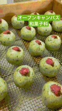 OCカメラサムネイル画像