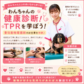 国際動物専門学校 学校説明会（選んだ学科を体験できる日）愛玩動物看護学科