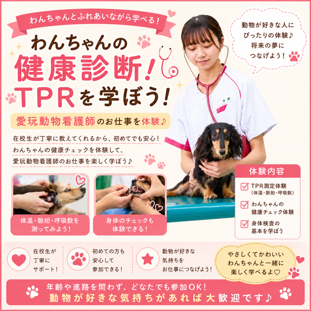 国際動物専門学校 学校説明会（選んだ学科を体験できる日）愛玩動物看護学科1