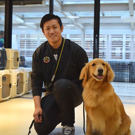 在校生レポート画像